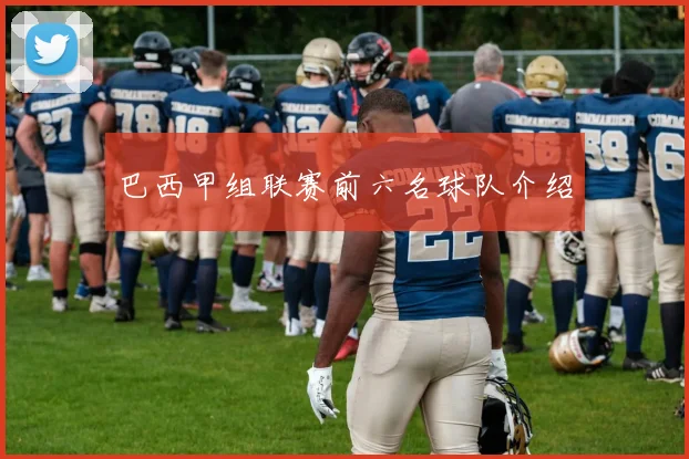 巴西甲组联赛前六名球队介绍