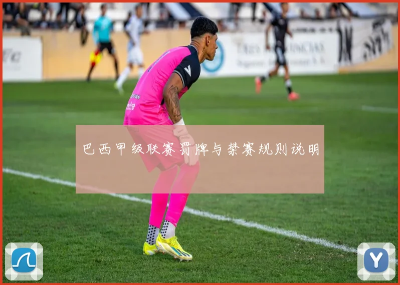 巴西甲级联赛罚牌与禁赛规则说明