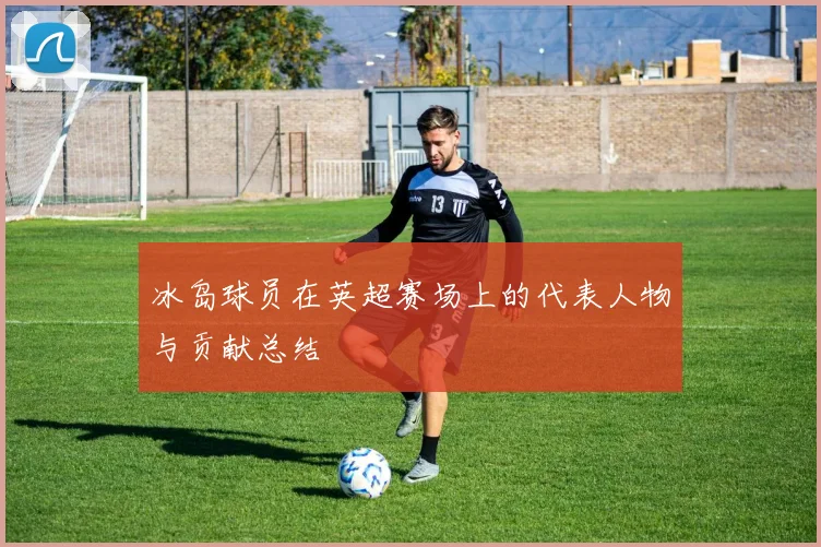 冰岛球员在英超赛场上的代表人物与贡献总结