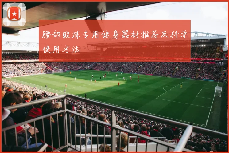 腰部锻炼专用健身器材推荐及科学使用方法